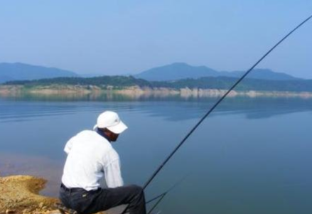 水库|资深野钓高手分享水库钓鱼技巧,让你轻松就有好渔获——盛世三渔