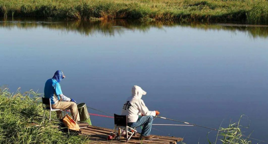 @偷学来的鲤鱼药酒配方，野钓黑坑通杀，新手一看就会！——盛世三渔