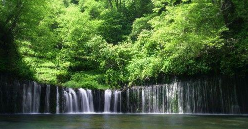 『』4号开始,被财神惦记,菩萨保佑,大喜大福,升官又发财3生肖