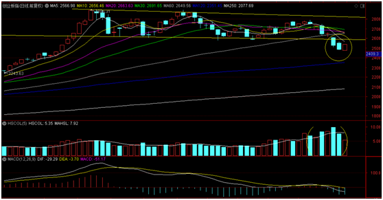 股灾|股灾之后岂能乱了方寸!