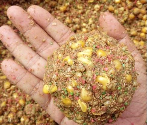 |钓鱼技巧：用玉米打窝钓大鱼，原来还有这么多诀窍！