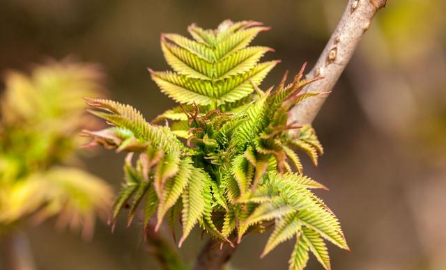 微信：有多少熟悉的陌生人，成了微信“好友”