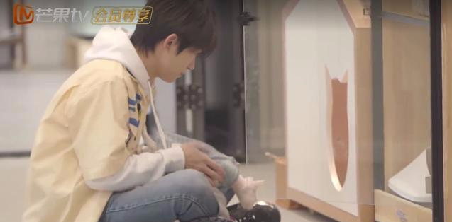 『芒果台』一期节目剪5个版本，芒果台终于又做了一个高分综艺