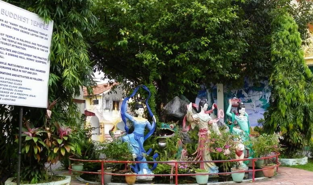 道教@全球唯一的“蛇庙”，寺内到处是青蛇，游客：我们一点都不怕！