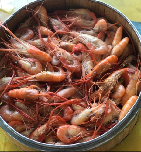 【肇庆】周末自驾带孩子:吃河鲜,玩水溯溪的好去处【紫云谷】