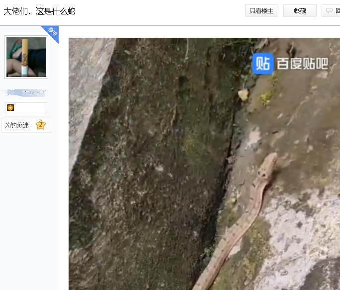 |钓鱼吧是我最后的精神乐园