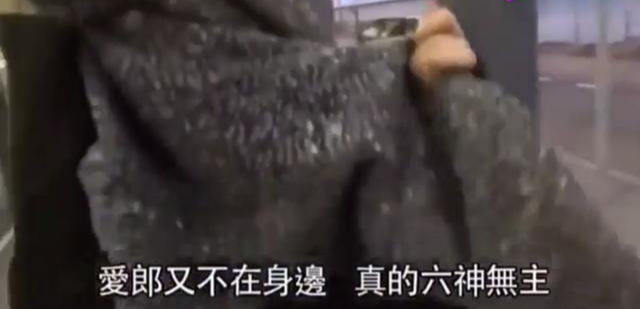 郭富城|方媛被记者堵住一脸无措，郭富城来救她，她缩在老公怀里要吓哭了