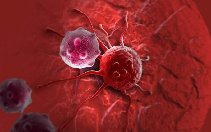 癌细胞@如果人不小心吃下一块癌细胞会怎么样？科学家给出正确答案