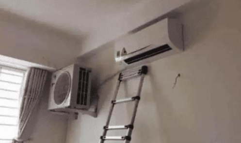 美颜|“海边捡到的，喂啥才会长大？”小心它妈妈一会找过来哈哈哈哈哈