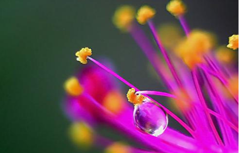 生肖▲三大生肖不走寻常路,7月正财旺,8月横财入,9月不愁钱