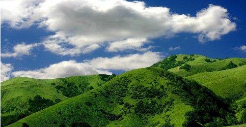 生肖@2号开始,横财发偏财旺,横财不断,20年内数钱数到手软3生肖