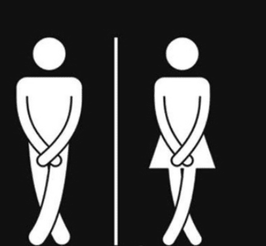 大象|厕所门上是“大象和长颈鹿”，该如何区分性别？跑错就尴尬了