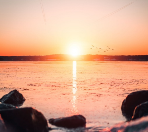 大学|一些连续三年表现很出色的大学专业