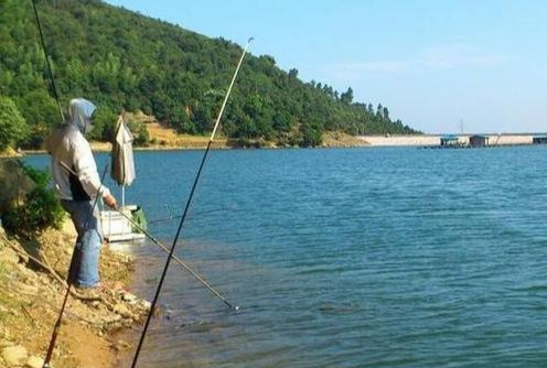 |新手作钓入门，这4点可能你都知道，但是做好不容易