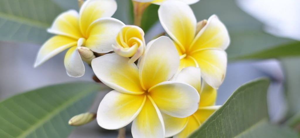 [星象]新的一周（5.18~5.24），事业顺利，爱情甜蜜，技术提升的3星座