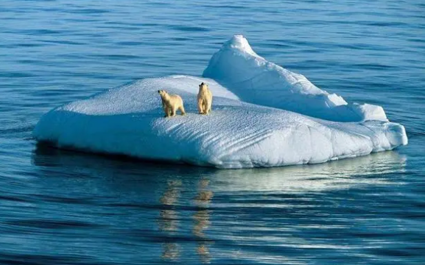 冠状病毒|传来坏消息,新冠病毒之外,人类又面临危机,上亿人或会遭受大难!