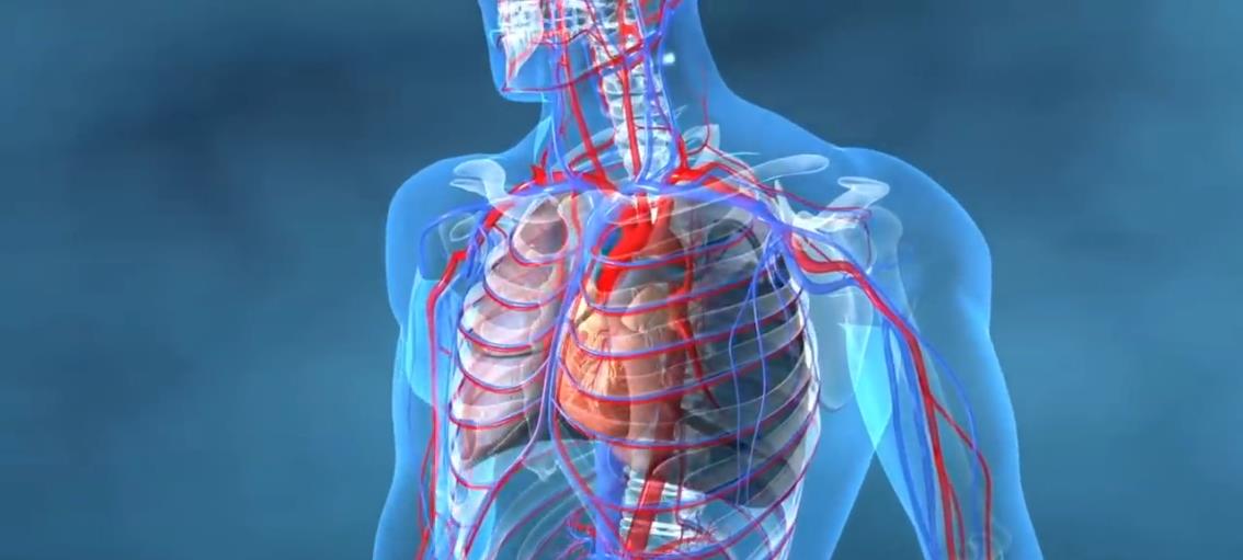 「」想象一下，如果空气中全是氧气？