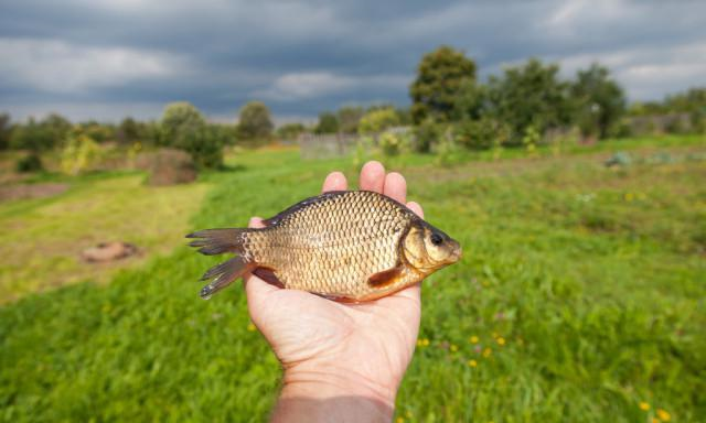 「」钓鱼记住这8要素，新手一样可以钓到鱼