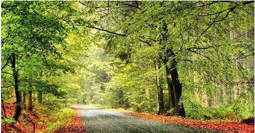 『生肖』6月开始翻身变富豪,财运步步攀升,钞票堆成山,富贵多财3生肖