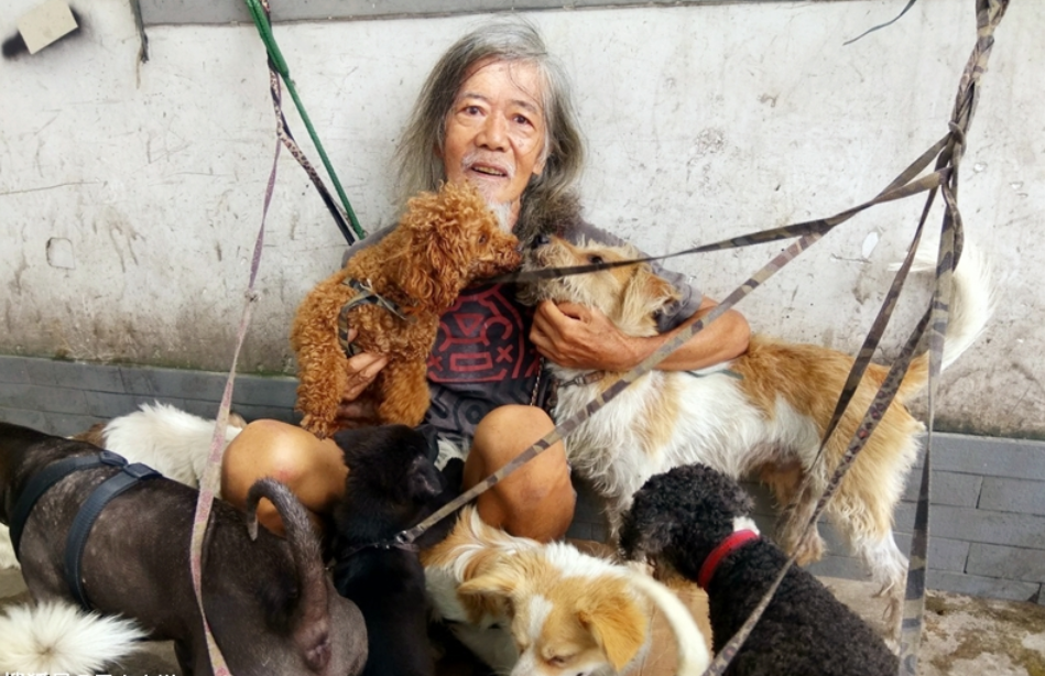 颜夕趣史|香港富二代继承5千万遗产,却挥霍一空,现今街头流浪和狗为伴