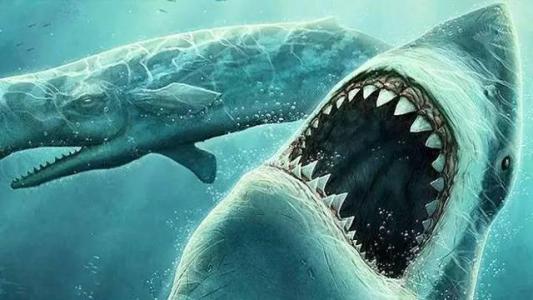 沧龙■神秘的海洋：史前海洋第一霸主的竞争，巨齿鲨还是沧龙？