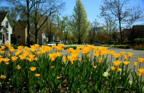 生肖|越胖越有福气的4生肖女，天生富贵命，是最不应该减肥的生肖
