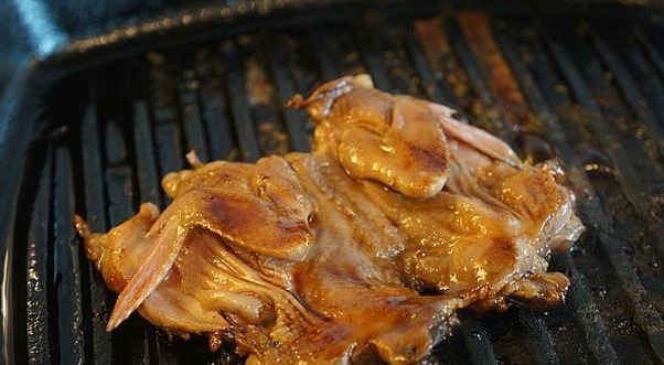 ：它有“小动物山参”之称，比鸡脯肉美味，成本为5块一只