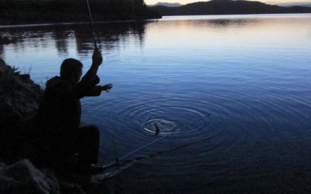 「玉米」夏季夜钓鲤鱼三个关键点,掌握好了再去钓也不迟——盛世三渔
