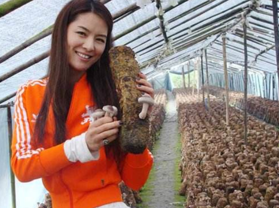 马艳丽|?她曾是“中国第一美女”，如今44岁单身，以种地为生，身家过10亿