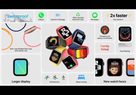 Apple Watch|Apple Watch6大半个月的深度体验，和SE的对比使用，哪个更值？