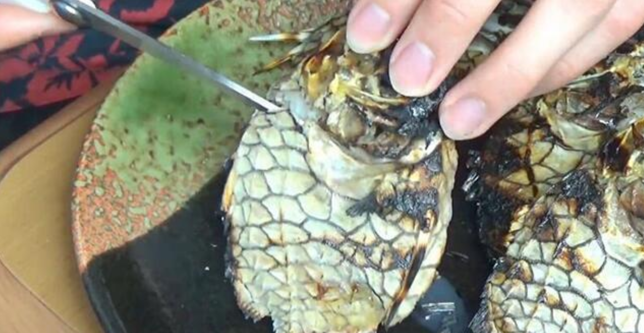 ##世界上最坚硬的鱼，剪刀也无法剪开它，网友：这种鱼有天敌吗？