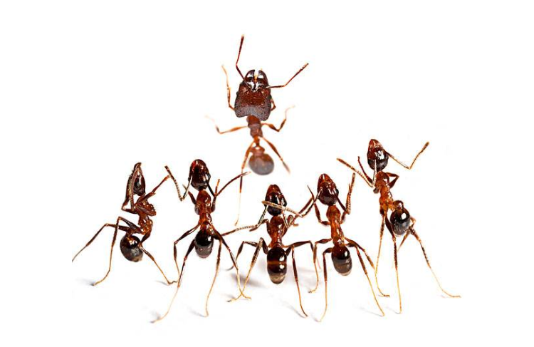 北海道：夏天即将到来，给广大夜间钓鱼人提个醒