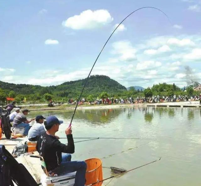 黑鱼|黑鱼怎么钓？老钓手教你几招，快来看看——盛世三渔