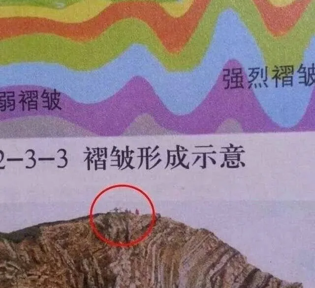 |“朋友说可好吃了，让我也来解解馋，我怎么感觉他在忽悠我？”