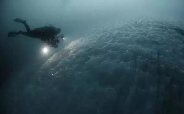 多洛丝·奥·瑞沃丹|世界上最难解的3大神秘事件!科学家一头雾水,你能解开吗?