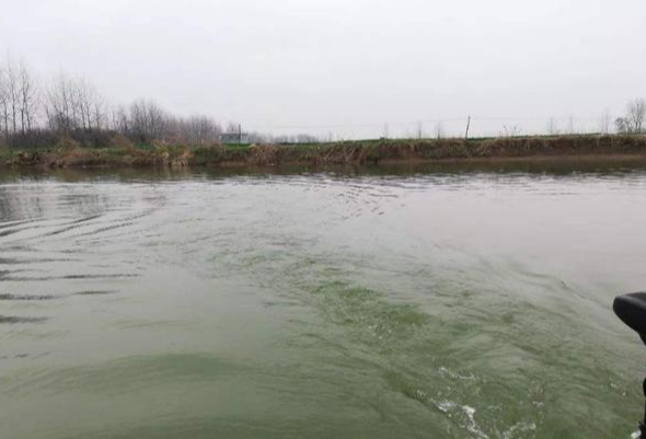 |老钓手告诉你水质颜色对鱼口的影响——盛世三渔