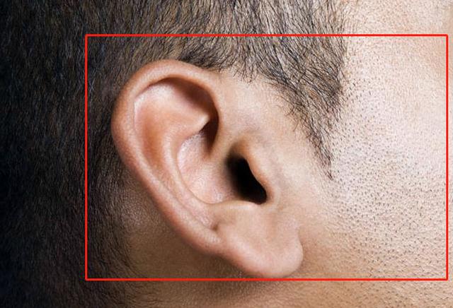 枸杞|男人肾脏不好， 身体3处“发黑”， 2处“发臭”， 好多人还不知道！