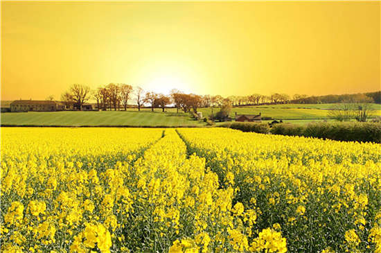 「学霸」想要成为学霸吗?做到这几句话,让高考学霸带你飞