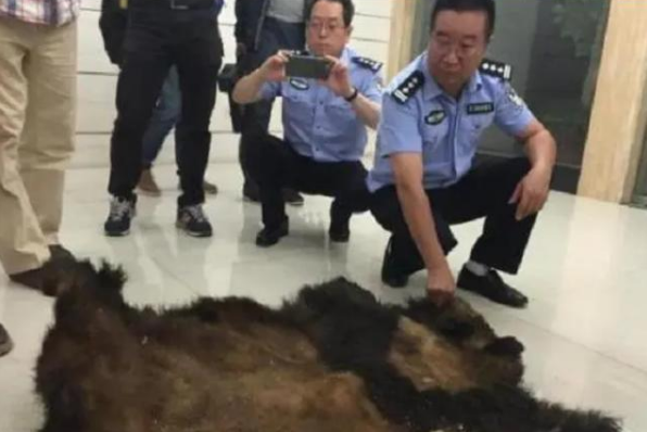 颜夕趣史|当年那个怒杀大熊猫的农民,得了70斤肉,他后来下场如何