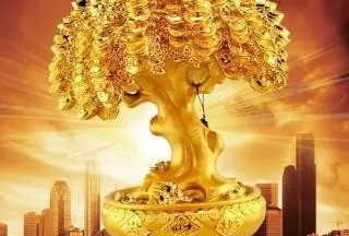 生肖▲趁势追击，年底有机会大发一笔，收获满满的生肖