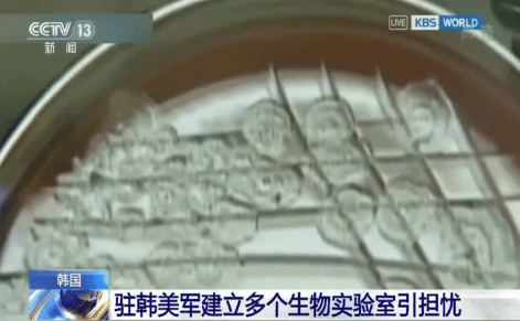 『新发地』特朗普无言以对！俄方举证：北京“新发地”病毒是“美国制造”！