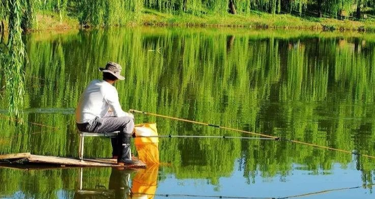 【】夏季钓鱼难？看完这些你就知道问题出在哪了！——盛世三渔