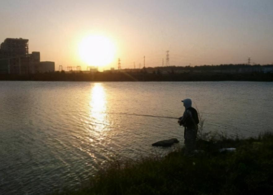 鲫鱼|在野河里作钓,怎么才能钓大鱼呢?快来看看让你连杆上鱼