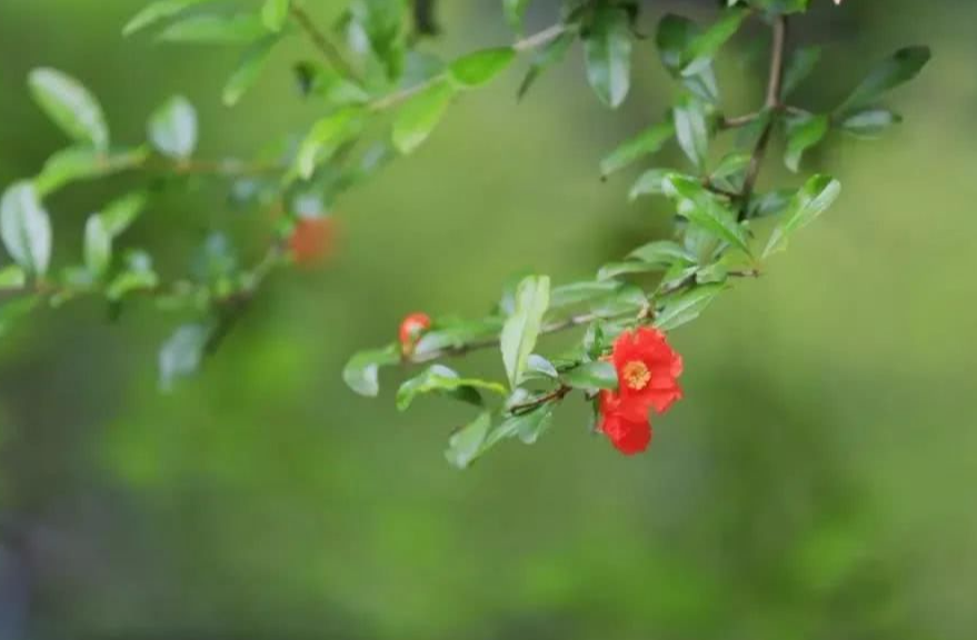 「运势」明天起：与财结缘、与喜事重逢，6月大运如雨下，好日子不请自来