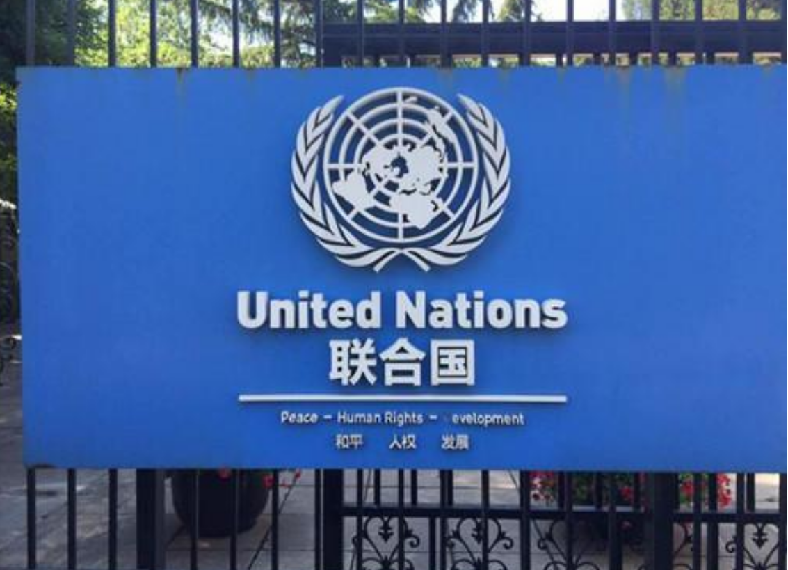 #联合国#联合国宣告“世界第一”：63国投下反对票！决不能让中方“出世”