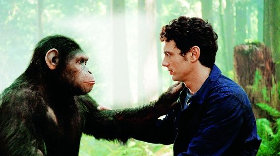 黑猩猩|美国发现一基因变异猩猩，进化出了与人类相似的手指，它会持续进化？