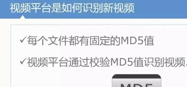 百度|玩视频搬运项目月入几万的赚钱秘诀,分享价值2888元的5个找资源的思路。
