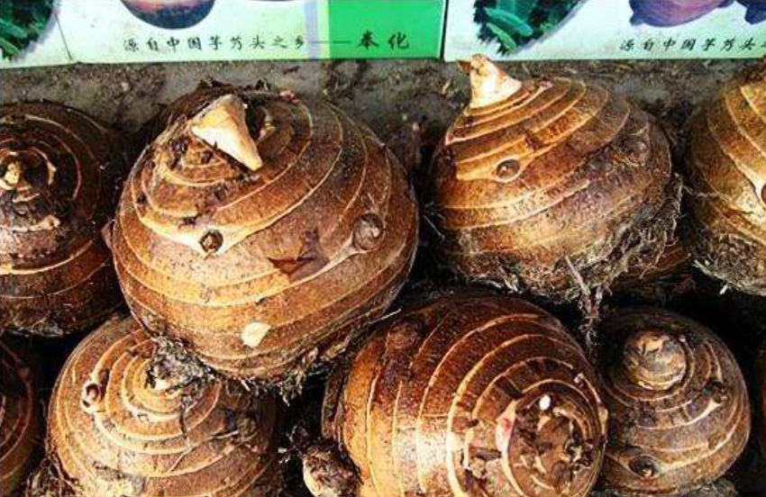 玫瑰|游完大半个中国才发现，这4个地方的特产最好吃，到现在我还再怀念！