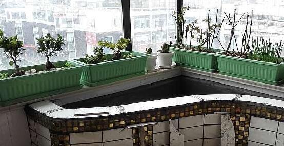 偷偷在阳台砖砌鱼池, 邻居来玩, 去物业把我投诉了