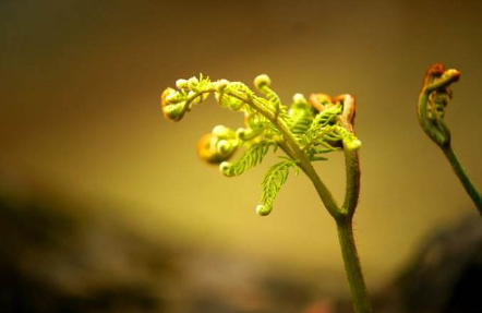 |灵性觉醒篇10：自杀不能摆脱轮回，还要面对惩罚，是真的吗？